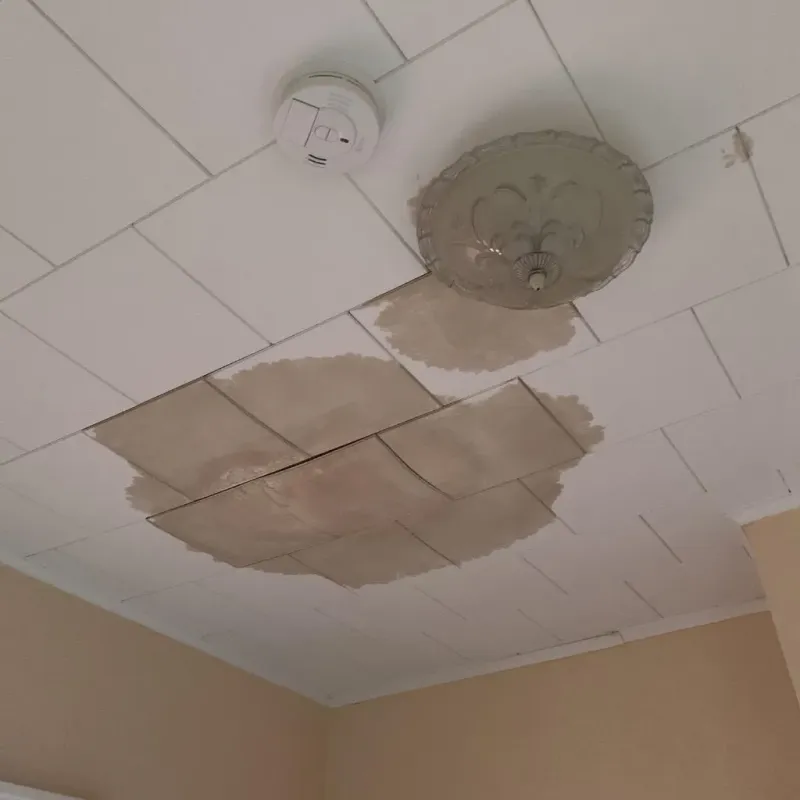 Ceiling Water Damage Repair in Red Hill, PA