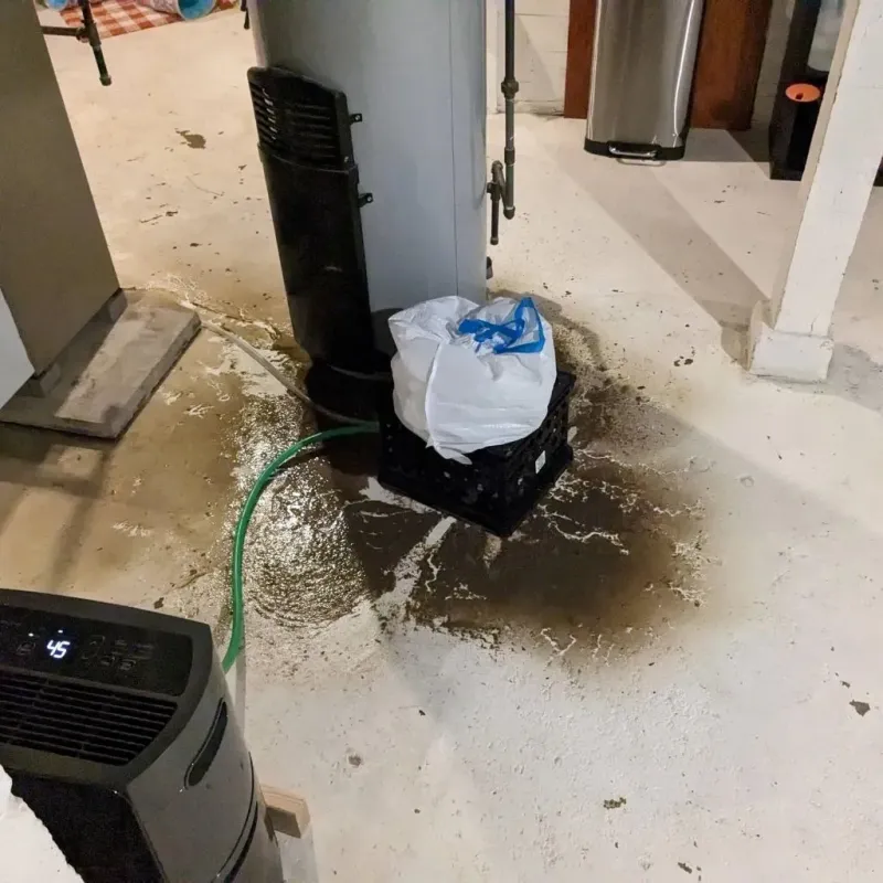 Sewage Backup Cleanup Service in Red Hill, PA